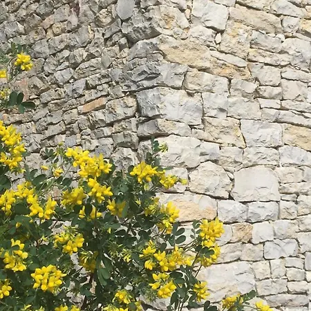 La Haute, Et Jardin Extérieur à