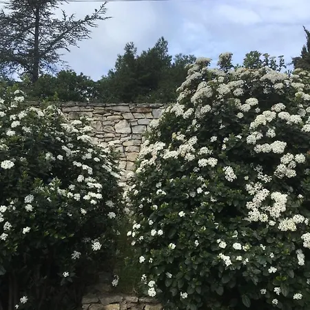 La Haute, Et Jardin Exterieur A Отель типа 