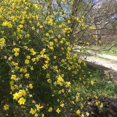 La Haute, Et Jardin Extérieur à 4*