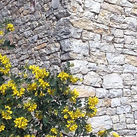 La Haute, Et Jardin Extérieur à Bed and breakfast Nimes
