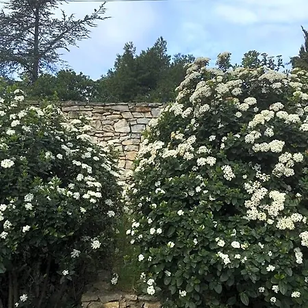 La Haute, Et Jardin Extérieur à Bed and breakfast Nimes