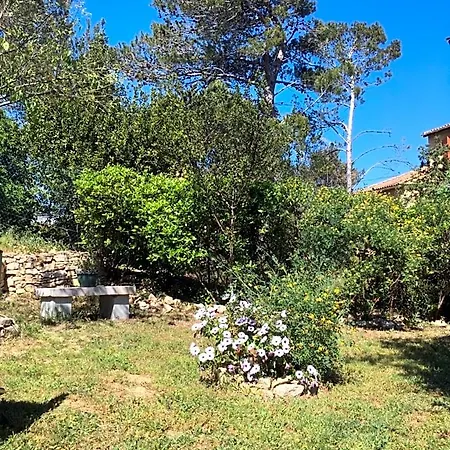 La Haute, Et Jardin Extérieur à Nimes